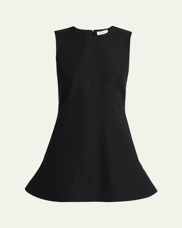 Flared A-Line Sleeveless Mini Dress